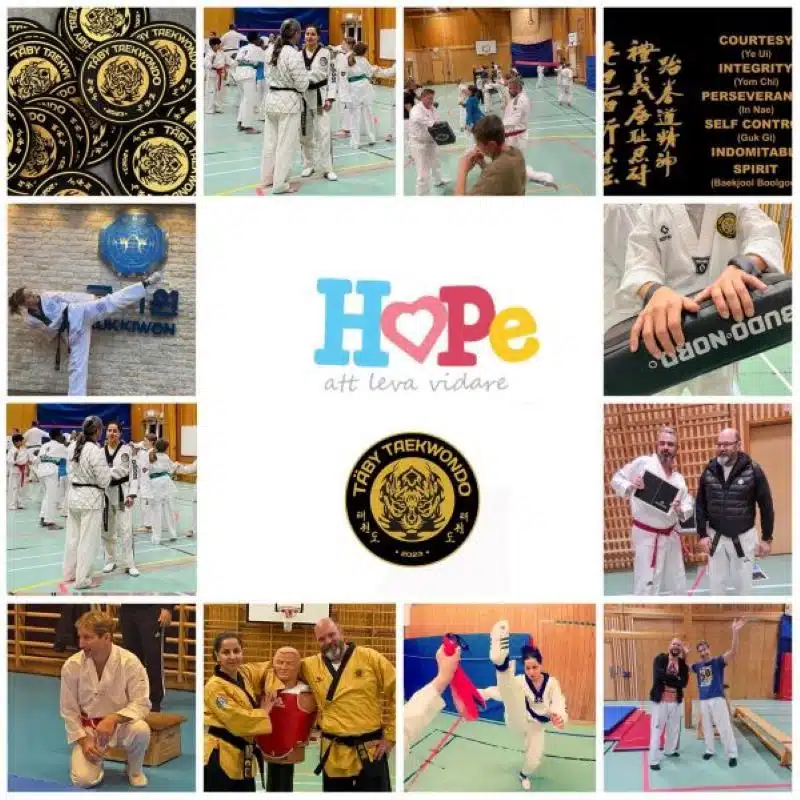 HOPE i Samverkan med Täby Taekwondo 1