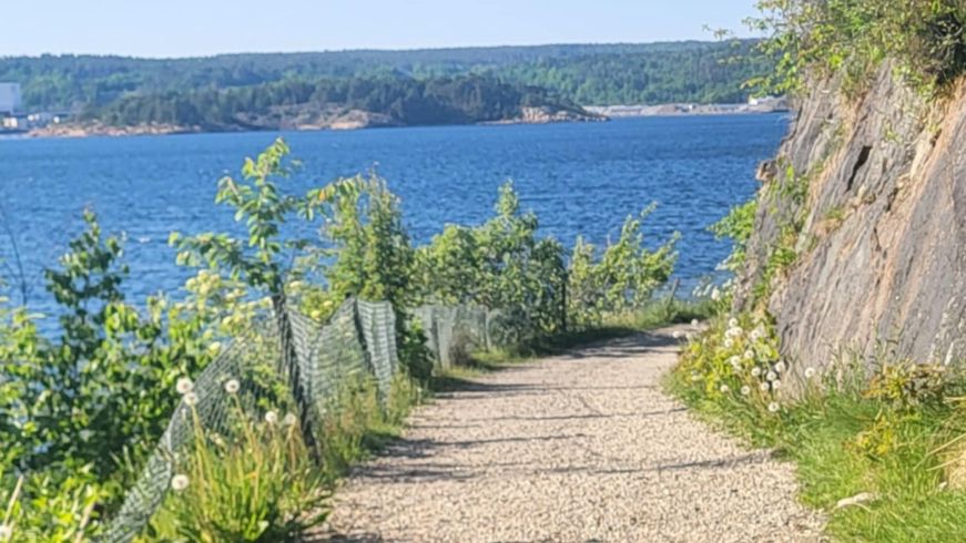 Bild Natur hemsida Hur blir efterlivet